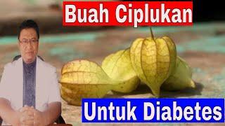 Apakah penderita diabetes boleh makan buah ciplukan ?