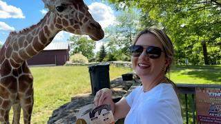 We Got Sneezed on by a Giraffe and Elisha Held a Red Panda!