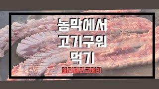 농막에서 고기 먹기