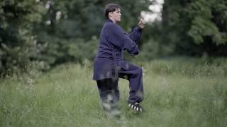 Wudang Tai Chi 28 - San Feng Pai