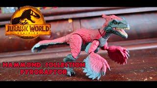 Jurassic World Hammond Collection Pyroraptor Review