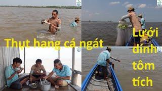 1267 | Cuộc sống ven biển săn bắt cá ngát | Fishing