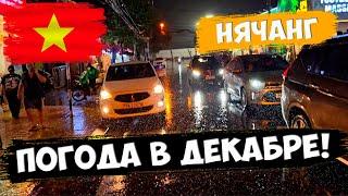  Папанов в кадре)) НАС заливает? Шторм в декабре в Нячанге | Вьетнам 2024