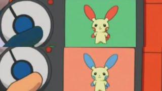 Plusle and Minun Pokedex Entry no.311-312