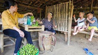 Harvesting Fresh Cluster Figs: Do You Know How to Prepare Them for Your Family Meals?