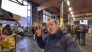 Amsterdam NDSM Flea Market - Biggest in Europe (EP#12) 