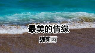 最美的情緣 - 魏新雨 - 等到那壹天 風停了花謝了【2018抖音熱門歌曲】