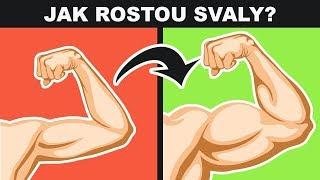 JAK ROSTOU SVALY?