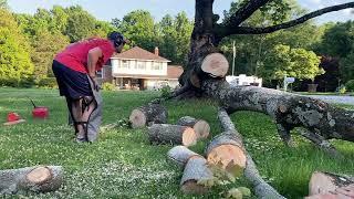 Bucking Maple - Front Yard Firewood