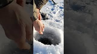 Рыба-не триппер, быстро не поймаешь ( старинная рыбацкая мудрость)