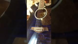 Test guitar Maxtone