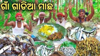 ଗାଁ ଗାଡିଆ ମାଛ ତରକାରି || Traditional Village Fish Curry Recipe || Fish Catching & Cooking in Village.