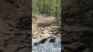 Trail 16 rock garden at Coalmont OHV Park. #jeepwrangler #offroad #Coalmont #TN #TNWheeling #Rocks