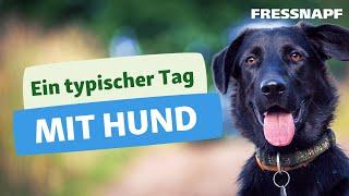 Alltag mit Hund | Leben mit Haustier | FRESSNAPF