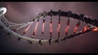 Theory of DNA Science - MESSAGE FROM GOD