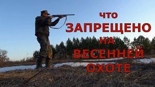 Запреты на ВЕСЕННЕЙ охоте! Что необходимо знать охотнику?
