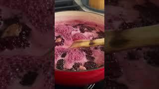 Blackberry Shrub - Fruit Shrub Recipe!