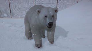 Planet Zoo Arctic Pack: Polar Bear