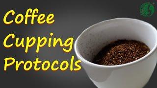 Coffee Cupping Protocols Ep 2 ECHO Asia Coffee Processing Camp 2016