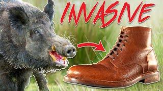 Boots made from Feral Swine that help America - @Stridewise x Caswell