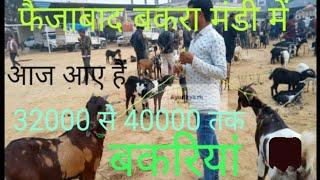 Faizabad Bakra Mandi फैजाबाद में बकरा मंडी#youtubevideo #bakri#goatfarming#bakramandi February 2024