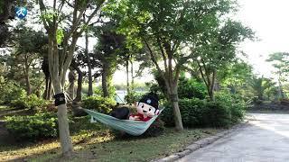[2022 세종이가 간다! 예고편] 세종이와 온빛초등학교가 함께한 학생해양수련원 탐방기!
