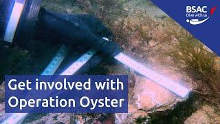 Operation Oyster - BSAC's UK diving conservation project