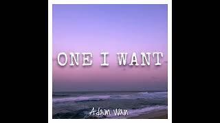 Adam Wan - One I Want