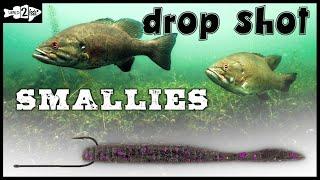 Tips for Drop Shotting Smallmouth Bass in Grass