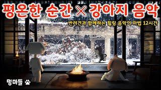 #멍마들  강아지의 마음을 진정시키는 12시간의 영상! 반려견을 위한 편안한 음악 (12시간) - Relaxing music for dogs