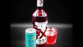 L’APERITIVO MIX SANTERO 958