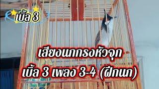 เสียงนกกรงหัวจุกเบิ้ล 3 เพลง 3-4 ฝึกนกep.120