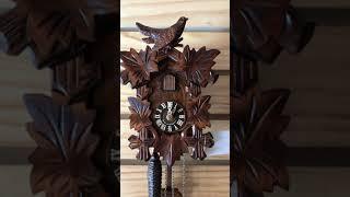 Hones small traditional cuckoo clock. www.cuckoohaus.com