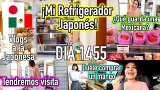 REFRIGERADORES JAPONESES Así son + Tendremos Visitas  - Ruthi San  04-06-24