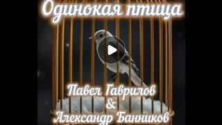 Одинокая птица (Павел Гаврилов & Александр Банников)