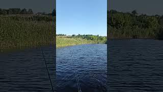 Оріль чиста річка