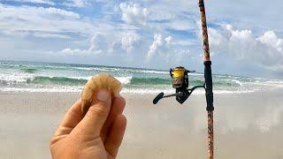 BEACH Fishing W/ Shrimp & Sand Fleas For Pompano & More (Cook & Catch)