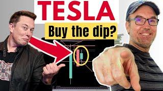 Tesla Stock : Should you buy the dip!!!!