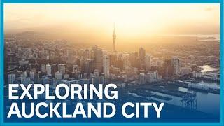 What to do in Auckland