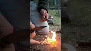 light a fire in the wild bushcraft