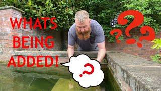 Revisiting the Abandoned Koi Pond