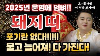 2025년 하반기 돼지띠운세 악으로 깡으로 끝까지 버텨! 금전, 재수, 대운이 쓰나미처럼 몰려온다! | 47년생 59년생 71년생 83년생 95년생 |
