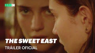 The Sweet East - Trailer | Filmin