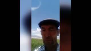 ГРОХУС 2 ИРЕТ ЧАЧЫЛГАН КАРТОШКА