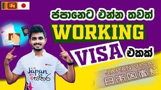 Japan Wisthara | ජපානෙට එන්න තවත් Working Visa එකක් | Direct Working Visa to Japan #Workingvisa #JP