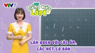 Bài 1: Các âm và nét cơ bản trong tiếng Việt | TIẾNG VIỆT 1 | VTV7