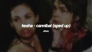 kesha - cannibal (sped up)