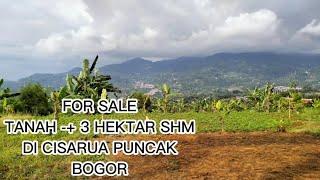 Jual Tanah Bagus Cisarua Puncak Bogor (3 Hektar SHM)#jualtanah #cisaruapuncak @aldipropertybgr915