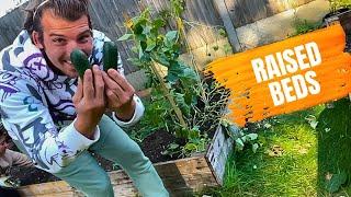 DIY Raised Beds: How Many Vegetables Did We Grow In Our First Year | First House Vlog #23