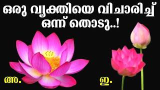 ഒരു വ്യക്തിയെ വിചാരിച്ച് നിങ്ങളുടെ മനസ്സ് പറയുന്ന ഒരു പൂവ്‌ തിരഞ്ഞെടുക്കു